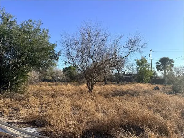 410 W 3rd ST, Bishop, TX 78343