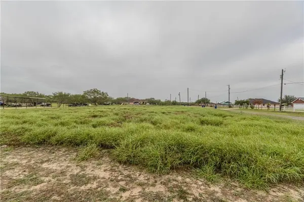 00 County Road 160, Alice, TX 78332