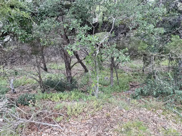 303 Windy Hill, Spring Branch, TX 78070