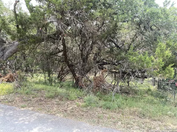 303 Windy Hill, Spring Branch, TX 78070