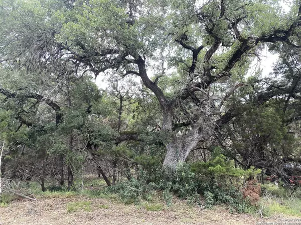 303 Windy Hill, Spring Branch, TX 78070