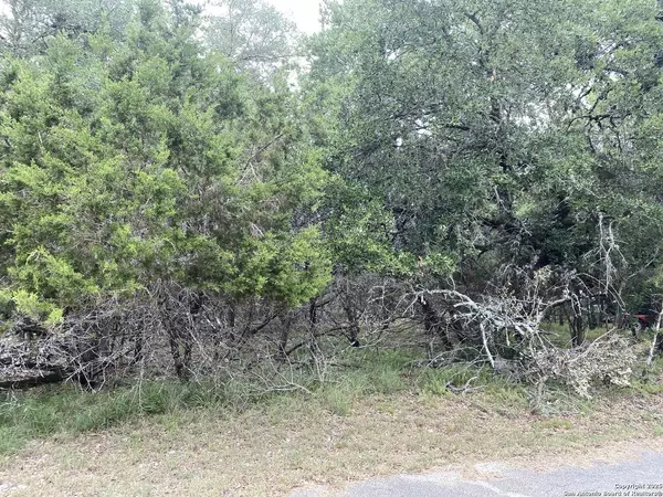 303 Windy Hill, Spring Branch, TX 78070