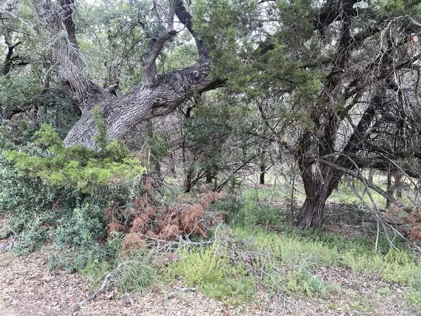 303 Windy Hill, Spring Branch, TX 78070