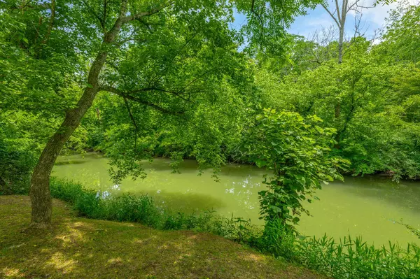 101 West LN, Rising Fawn, GA 30738