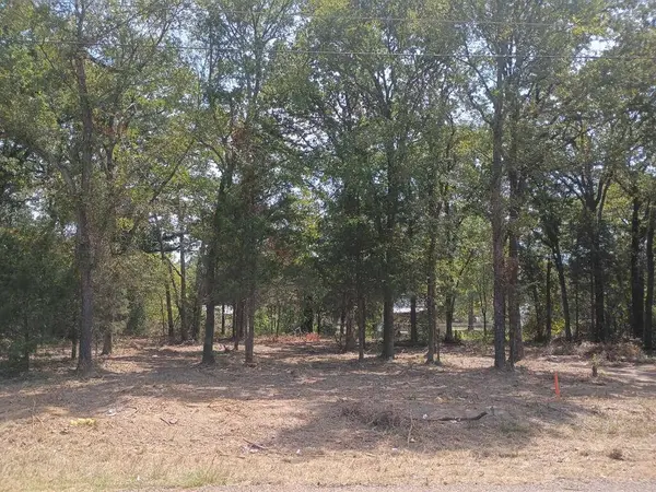 110 Lake Creek, Mabank, TX 75156