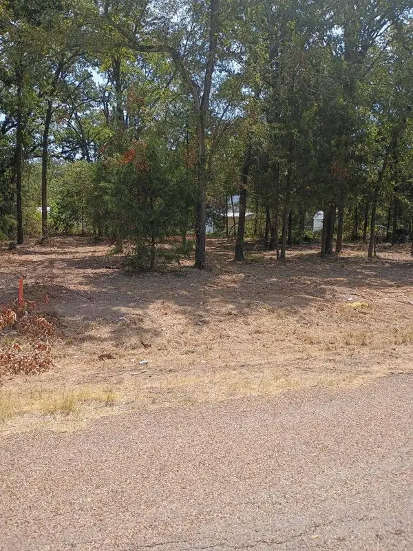 110 Lake Creek, Mabank, TX 75156