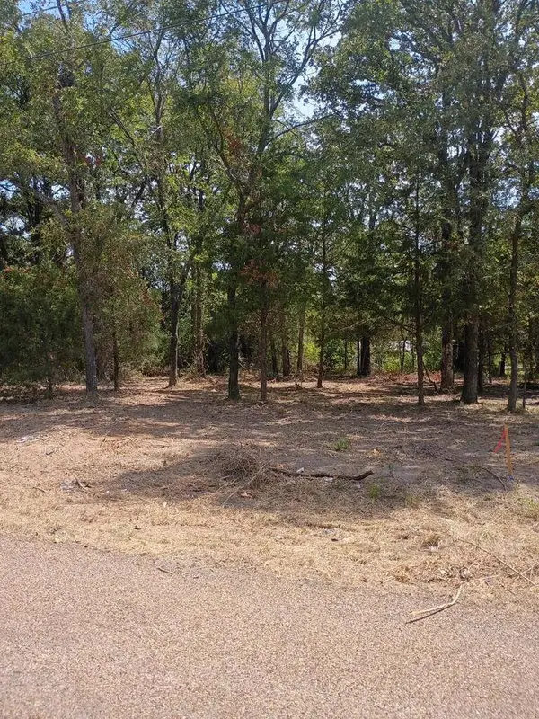 110 Lake Creek, Mabank, TX 75156