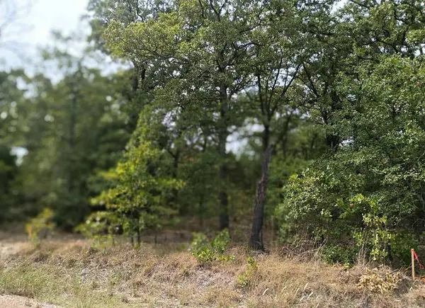 126 Rising Star, Mabank, TX 75156