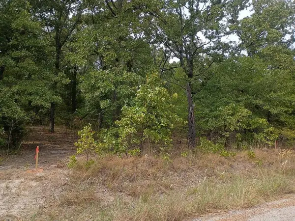 124 Rising Star, Mabank, TX 75156