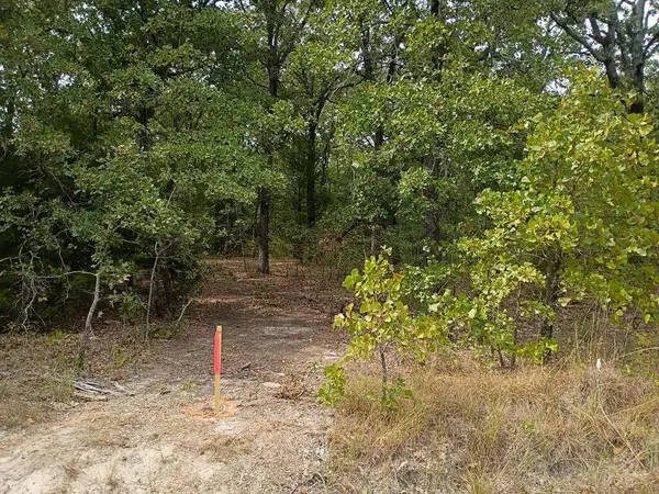 126 Rising Star, Mabank, TX 75156