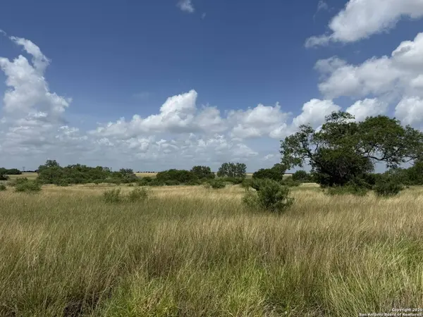 11234 Fm 626, Kenedy, TX 78119