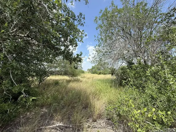 11234 Fm 626, Kenedy, TX 78119