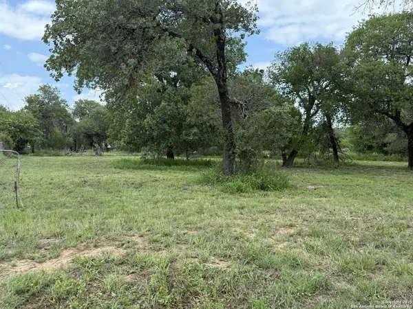 1917 Palo Alto, Von Ormy, TX 78073