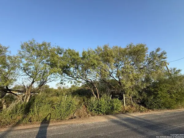 15875 LUCKEY RD, Atascosa, TX 78002