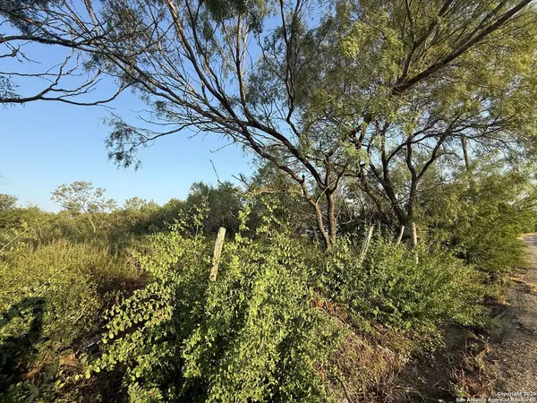 15875 LUCKEY RD, Atascosa, TX 78002