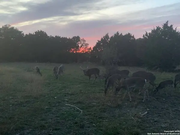 523 OAK SHORES DR, Canyon Lake, TX 78133