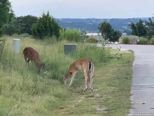 523 OAK SHORES DR, Canyon Lake, TX 78133