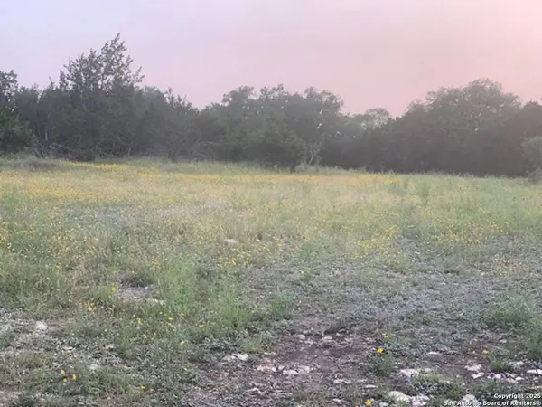 523 OAK SHORES DR, Canyon Lake, TX 78133