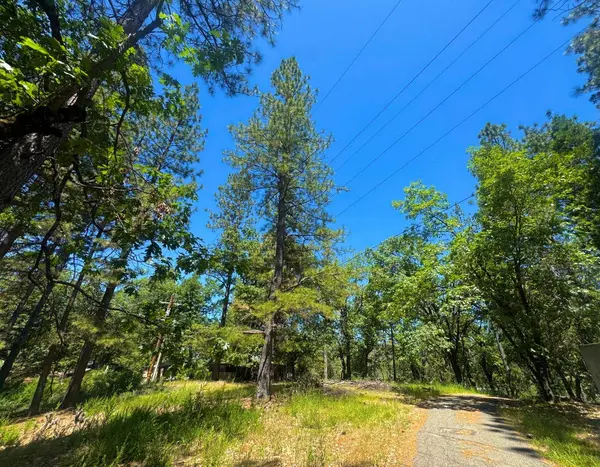 355 Retherford RD, Colfax, CA 95713