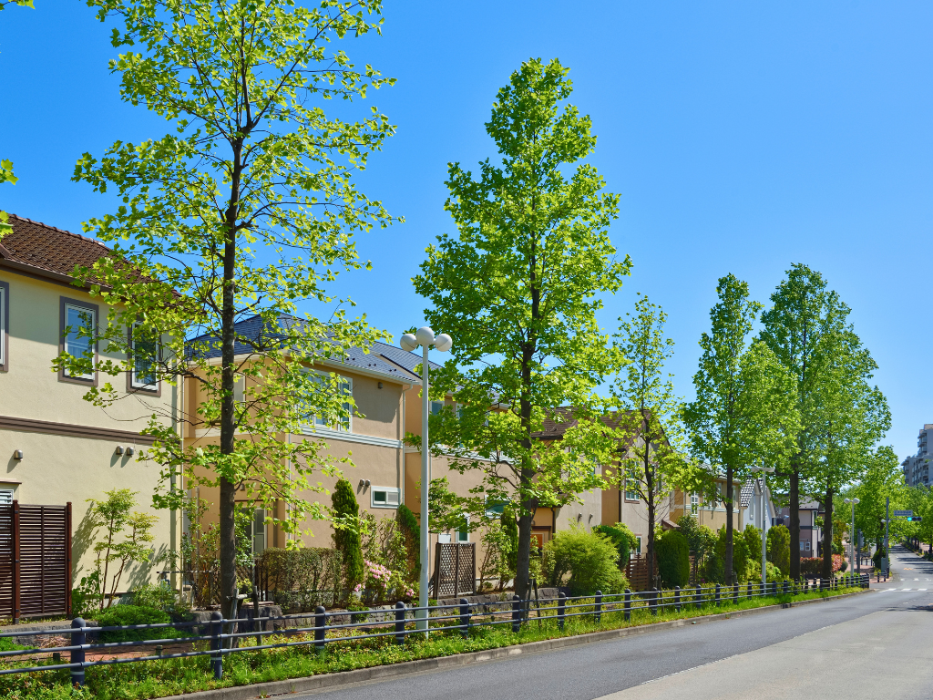 Mature trees and established homes in Berry Creek Georgetown.