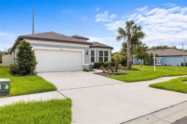 783 LITTLE CLOUD PL, Valrico, FL 33594