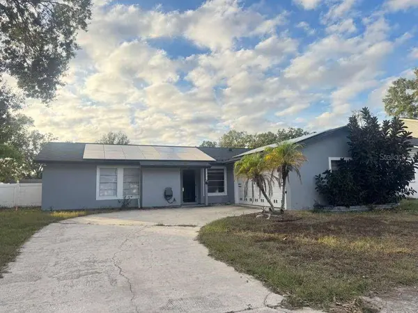15906 COUNTRY FARM PL, Tampa, FL 33624
