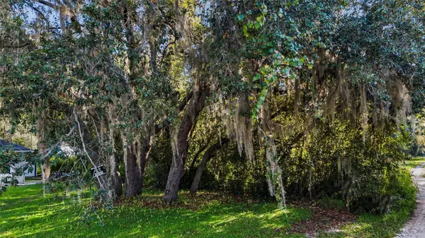 CASAURINA RD, Lady Lake, FL 32159