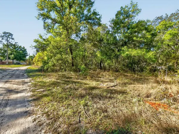 OAKRIDGE DR, Lady Lake, FL 32159