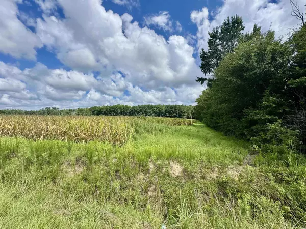 TBD Pearl Rd., Galivants Ferry, SC 29544