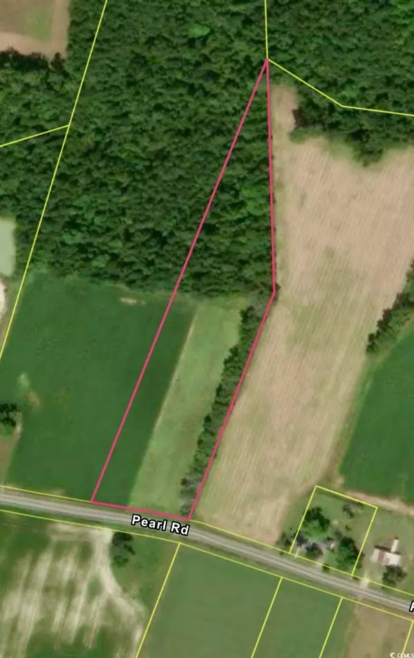TBD Pearl Rd., Galivants Ferry, SC 29544