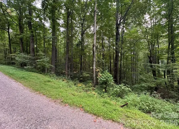13 Fern TRL, Waynesville, NC 28786