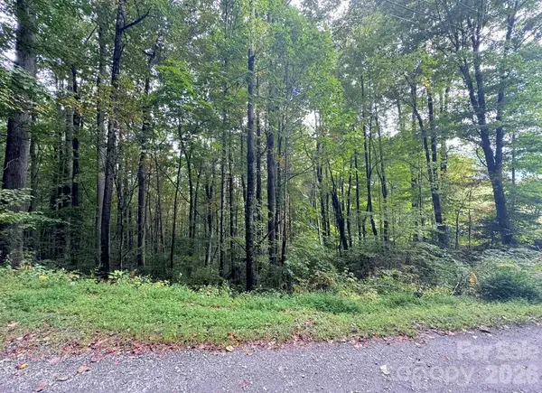 13 Fern TRL, Waynesville, NC 28786
