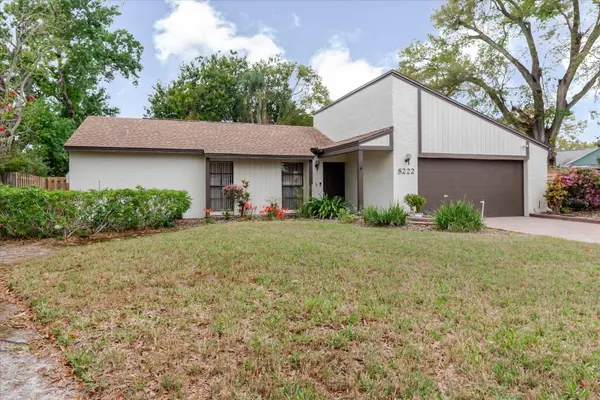 8222 LA SERENA DR, Tampa, FL 33614