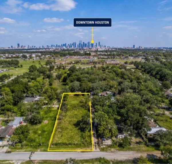 1031 Niagara ST, Houston, TX 77051