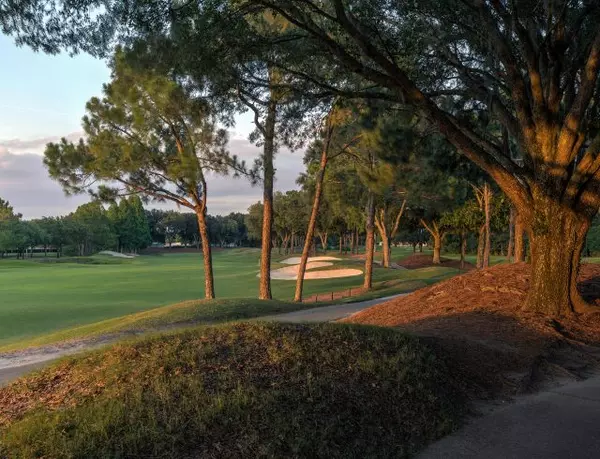 Tampa's Golf Course Communities