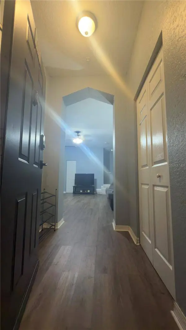 5031 SUNRIDGE PALMS DR, Tampa, FL 33617
