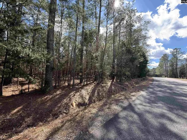 00 Ruby Riser Road #110
