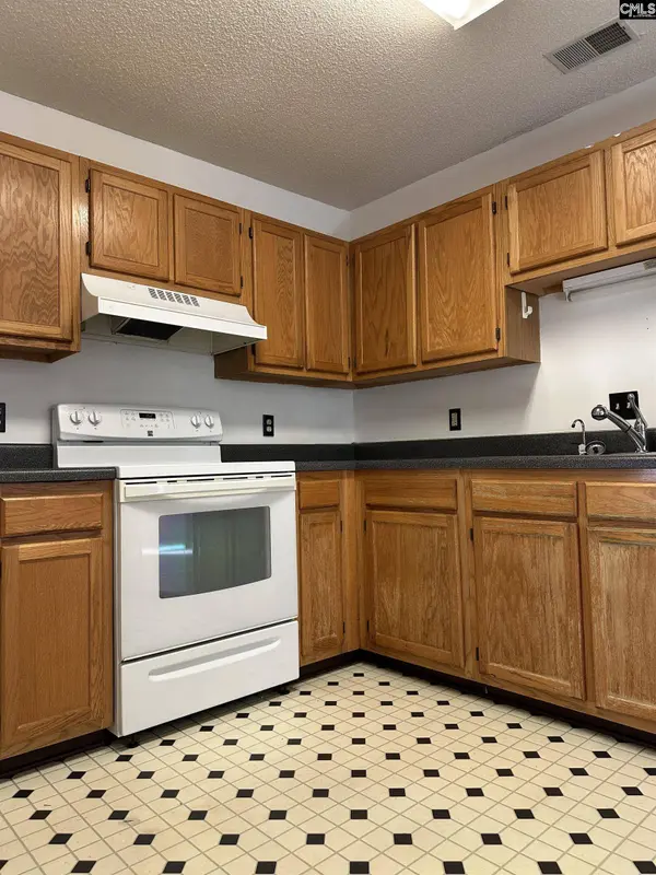 209 Maple Tree Court, Lexington, SC 29073