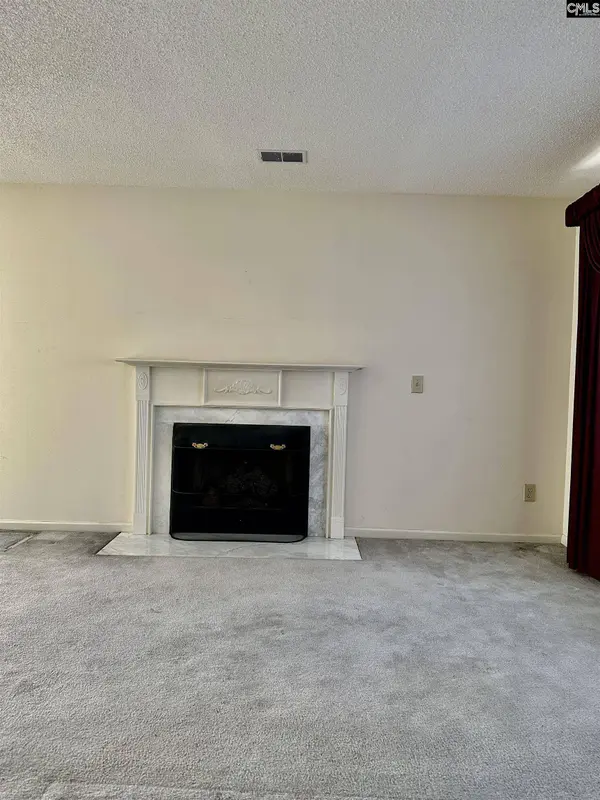 209 Maple Tree Court, Lexington, SC 29073
