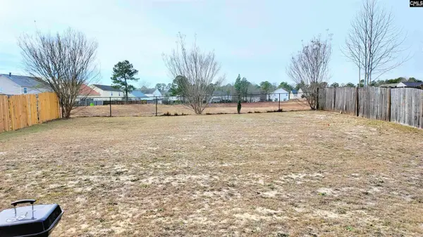 1175 Coralbean Way, Columbia, SC 29229