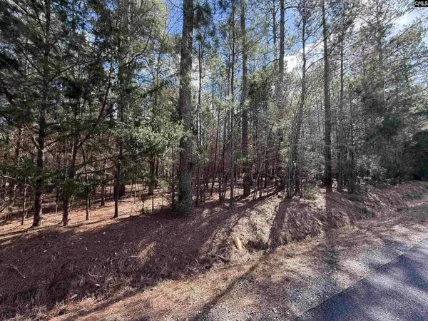 00 Ruby Riser Road #110, Batesburg, SC 29006