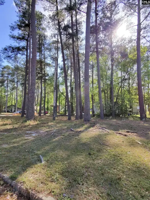 TBD Lang Road #1, Columbia, SC 29204