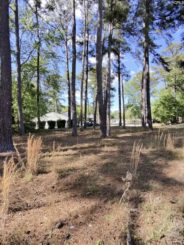TBD Lang Road #1, Columbia, SC 29204