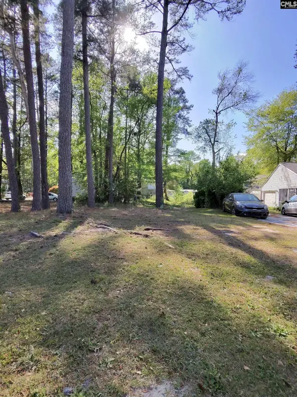 TBD Lang Road #1, Columbia, SC 29204