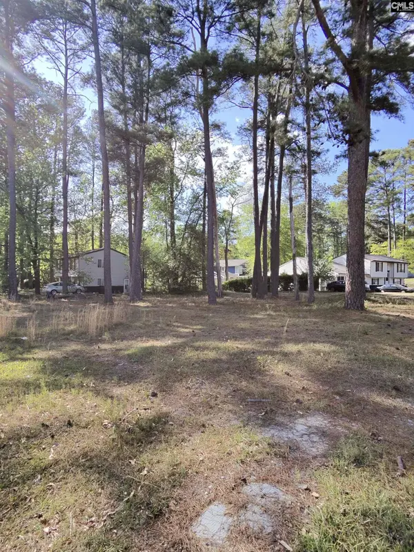TBD Lang Road #1, Columbia, SC 29204
