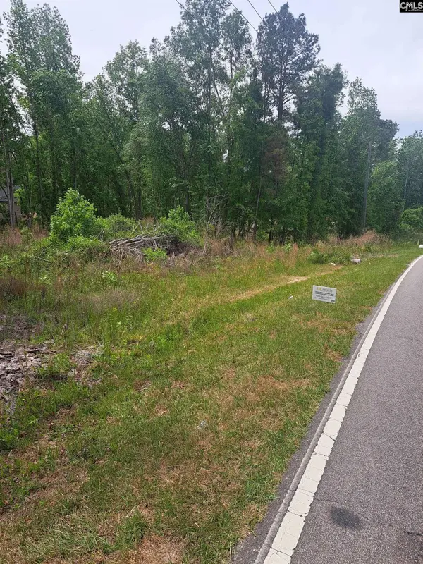 Grover Wilson Rd/Dinkins Place Rd, Ridgeway, SC 29130-0000
