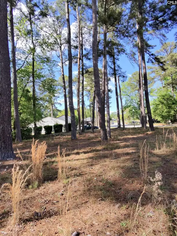 TBD Lang Road #1, Columbia, SC 29204