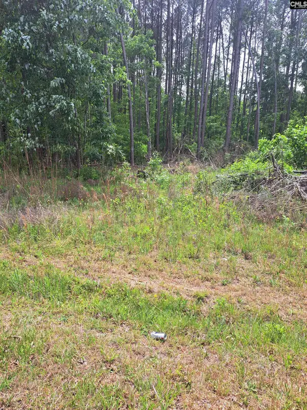 Grover Wilson Rd/Dinkins Place Rd, Ridgeway, SC 29130-0000