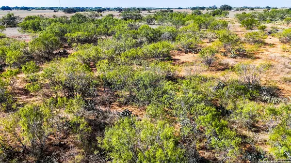 FM 472, Bigfoot, TX 78005