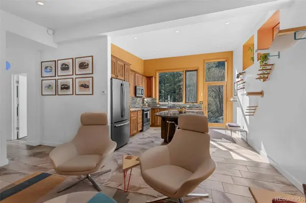 103 Trout Run DR, Carbondale, CO 81623
